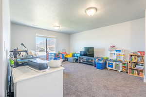 Rec room featuring a textured ceiling and carpet flooring