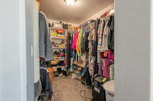 Walk in closet with carpet