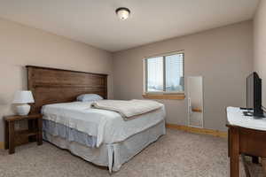 Bedroom with carpet floors