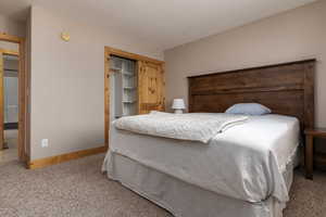 Bedroom featuring carpet and a closet