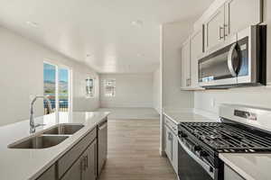 Kitchen featuring stainless steel appliances, light hardwood / wood-style floors, sink, and gray cabinetry