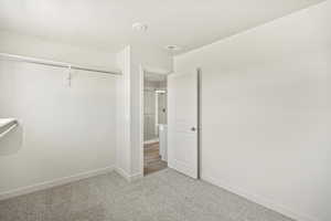 Spacious closet featuring carpet