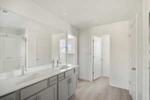 Bathroom with wood-type flooring and dual bowl vanity