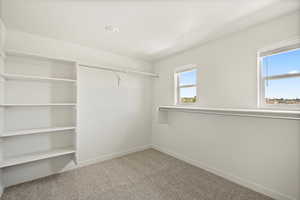 Spacious closet featuring carpet floors