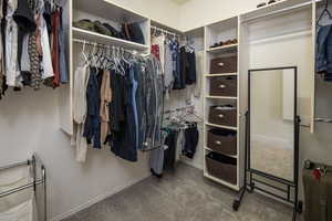 Spacious closet featuring carpet