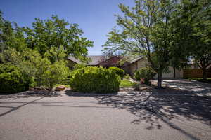 View of property hidden behind natural elements with a garage