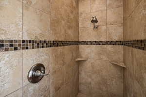 Interior details with a tile shower