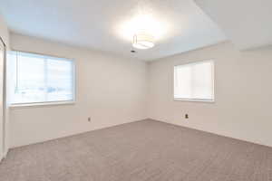 Unfurnished room featuring carpet flooring