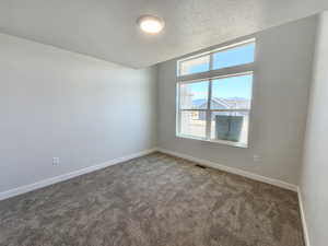 Carpeted spare room with a textured ceiling