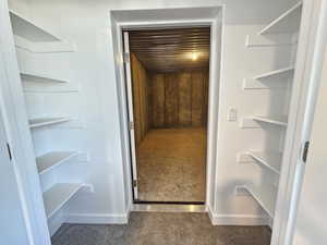 Spacious closet with carpet floors