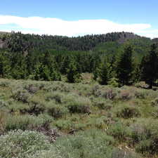 Photo 2 of 6000 N DURFEY-OLIPHANT RD