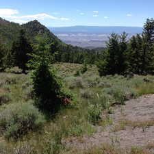Photo 1 of 6000 N DURFEY-OLIPHANT RD