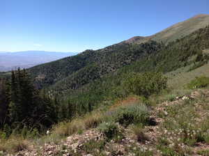 Photo 4 of 6000 N DURFEY-OLIPHANT RD