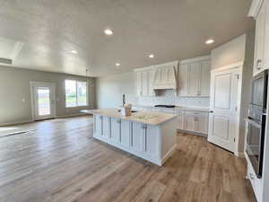 Kitchen with an island with sink, premium range hood, light hardwood / wood-style floors, and appliances with stainless steel finishes