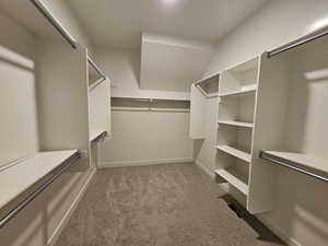 Walk in closet with carpet