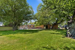 Fully fenced outdoor are with mature shade trees.