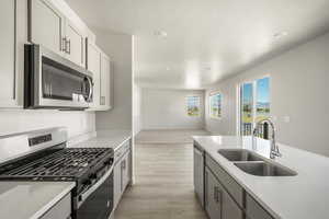 Kitchen with sink, light hardwood / wood-style flooring, stainless steel appliances, and gray cabinetry