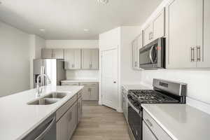 Kitchen featuring light hardwood / wood-style floors, sink, gray cabinetry, and stainless steel appliances