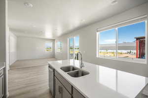 Kitchen with sink, light hardwood / wood-style flooring, dishwasher, and a healthy amount of sunlight