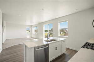 Kitchen with stainless steel dishwasher, sink, dark wood-type flooring, and a healthy amount of sunlight