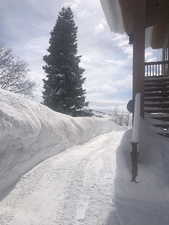 View of snowy yard