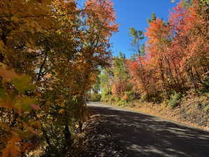 Photo 46 of 10129 N BASIN CANYON RD