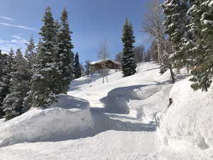 View of yard covered in snow