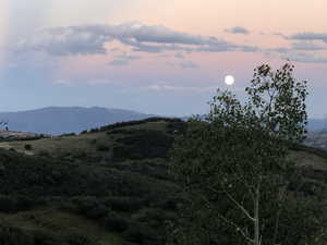 Photo 56 of 10129 N BASIN CANYON RD