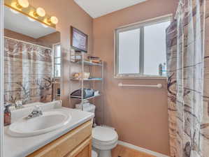 Bathroom with hardwood / wood-style flooring, toilet, and large vanity