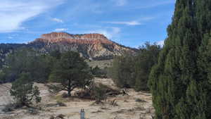 View of property view of mountains