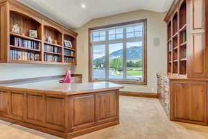 Office with built in shelving