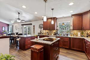 Kitchen with a wealth of natural light, vaulted ceiling, hanging light fixtures, and ceiling fan