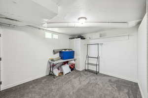 Basement with carpet flooring