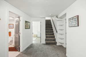 Stairway with light colored carpet