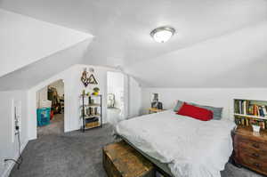 Bedroom featuring lofted ceiling and dark colored carpet