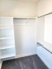 Spacious closet featuring carpet