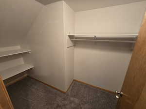 Walk in closet with carpet flooring