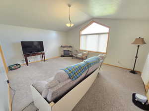 Living room with vaulted ceiling and carpet floors