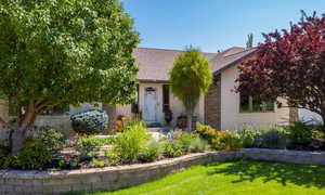 Obstructed view of property with a front yard