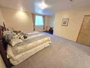 Bedroom with carpet