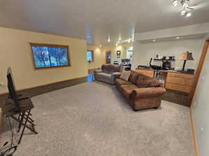 Carpeted living room with a textured ceiling