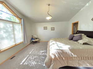 Carpeted bedroom with vaulted ceiling