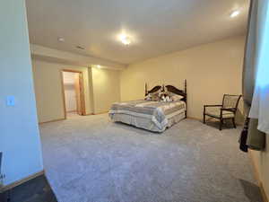 Carpeted bedroom featuring a closet and a spacious closet