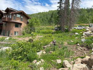 Photo 5 of 12176 E BIG COTTONWOOD CANYON RD