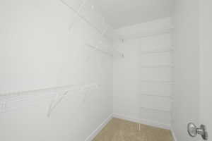 Walk in closet with carpet flooring