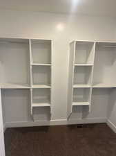 Spacious closet with dark colored carpet