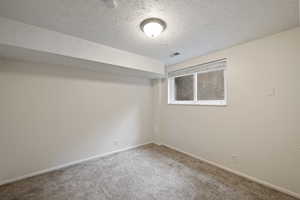 Spare room featuring a textured ceiling and carpet floors