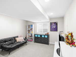 Basement Family Room