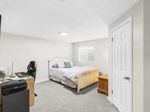 Basement Bedroom