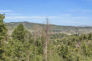 View of mountain view